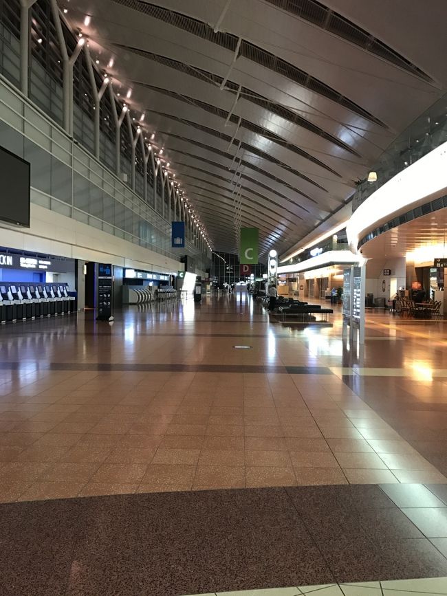 5時前の羽田空港第2ターミナル<br />人はまばらで、5:30ごろから手荷物預かりができるようになりました。<br />石垣島までの乗り継ぎがある人は、那覇→石垣への搭乗券は自動発券機じゃなくて有人カウンターでしか発券できないと言われたので、セルフの手荷物預かりではなく有人の方で預けました。