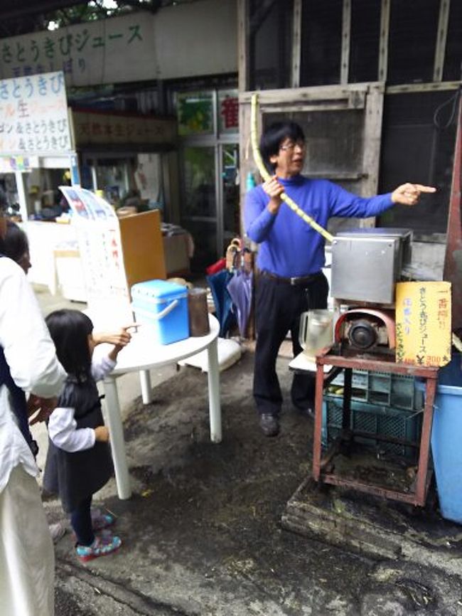 サトウキビ体験<br />サトウキビを入れて絞ります。