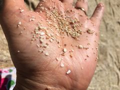 星の砂

ハイ～(*´ω｀*)

この付いたかな？