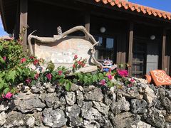 フェリー乗り場に戻ろうと思ったのですが、そういえば昼食を取っていなかったにやー

船で石垣島に戻りたがる旦那さんとすっかりビーチにいたニャンコさんが気にいった、次男三男は帰りたがらないし、私ももっとゆっくり色々見たい、お腹が空いている私たちこの島のかにふというレストランで昼食を取ることに決定した～(*´ω｀*)やっとごはんにありつけました!

ふう～やれやれと
