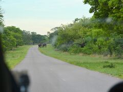 【 - ジンバブエからボツワナ（チョベ国立公園）へ越境 - 】

バスの中が急に、ざわつく.....