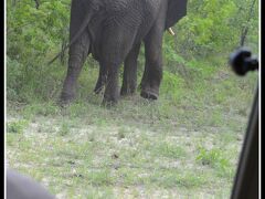 【 - ジンバブエからボツワナ（チョベ国立公園）へ越境 - 】

ふぇぇぇ～～でも、運転手が、マジ顔で、車内に向かって 静かにしろ！と言った時は、怖かった....