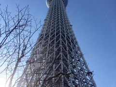 ソラマチあたりブラブラしようかと思ったけど、特に買いたいものもないのでイーストタワー８階のドームガーデンで日向ぼっこ。

近くで見ると６００ｍもあるように見えない。