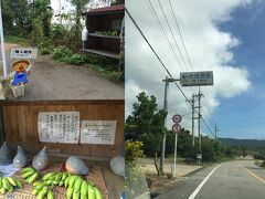 泡盛の銘柄で以前から知ってはいましたがなるほど意味は、石垣島で一番高い山です
道すがら小学校の前に無人販売【島バナナ】がありました
