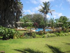 イースター島のホテルと２日目の島内観光はチリの日系の旅行社に手配済み。宿泊したのはホテルオタイ。ヤシの木が茂り、プールがあってふだんの旅に使うホテルと違ってリゾート感ばっちり。