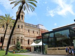 南オーストラリア博物館