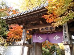 最初に訪れたのは龍福寺です。
６か国（最盛期には7カ国）を領有した西国最大の守護大名大内氏最期の当主大内義隆の菩提寺です。
大内義隆は家臣陶晴賢の謀反にあって主従と自刃し、事実上大内氏は滅亡してしまいました。
この寺の境内には大内氏の館がありました。。大内氏は他の戦国武将のように本拠地に城は築きませんでした。高嶺城と言う山城が築かれたのは大内義隆が自刃し、事実上大内氏が滅亡した後です。ちなみに館の北隣には迎賓館である築山館がありました。
当時応仁の乱で荒廃した京都からは多くの文化人や貴族が疎開してきていたので、この時期の山口は特に西の京都と呼ばれており、将軍足利義稙も大内氏の庇護を受けてこの築山館に長く滞在していました。
当時の大内館の敷地からは３か所の庭園が発掘されています。（池泉庭園が１か所、枯山水庭園が２個所です。）