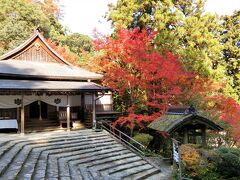 次のお勧めは山口大神宮の紅葉です。
山口大神宮は大内氏３０代当主大内義興が天皇の勅許を得て、伊勢皇太神宮（伊勢神宮）のご分霊を勧請した神社です。
伊勢神宮から直接ご分霊を受けて皇太神宮社が創建されたのは明治以前には山口大神宮以外にはありませんでした。
そのため、江戸時代には西の伊勢参りとして九州や中国地方から多くの参拝者が訪れたそうです。