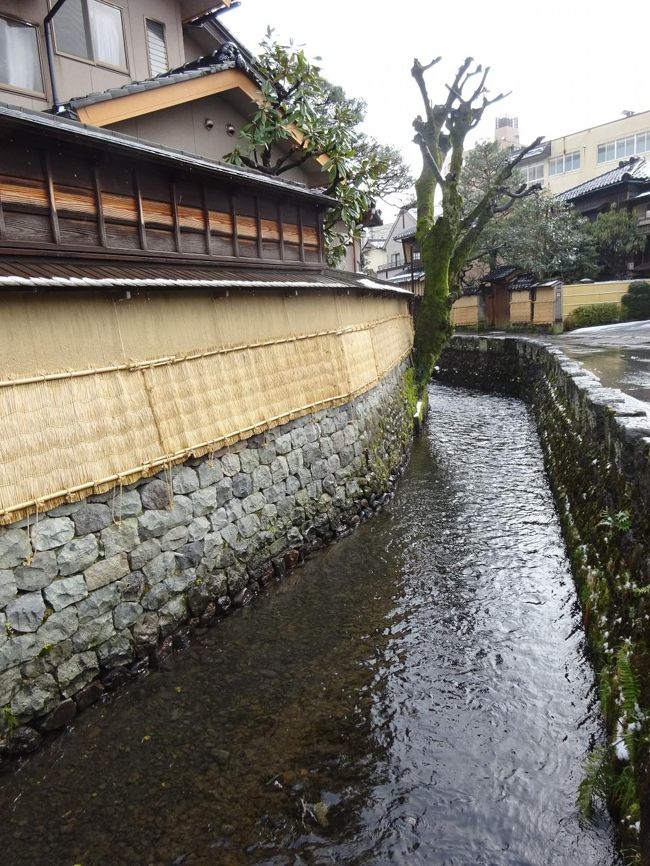 大野荘用水。先の鞍月用水と共に江戸時代からの用水。<br />豊かな水のある街並みは素敵だと思います。