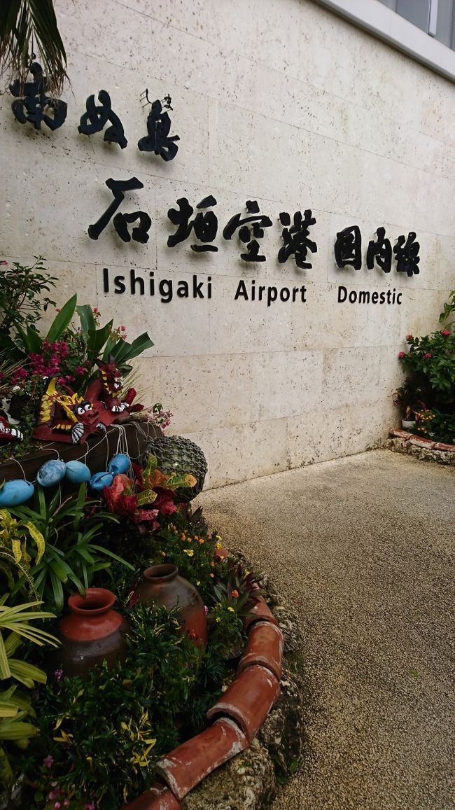 とてもキレイな空港ですね～<br /><br />お手洗いもキレイで嬉しい♪<br />極暖を脱ぎすて、レッツゴー(o≧▽゜)o