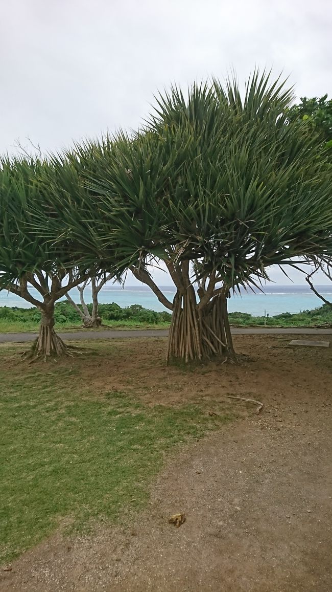 ランチの後はドライブして～<br /><br />玉取崎展望台です！