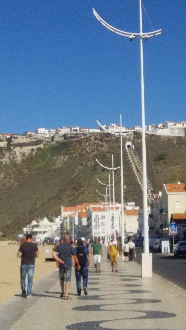 山の斜面にケーブルカーが見えます。