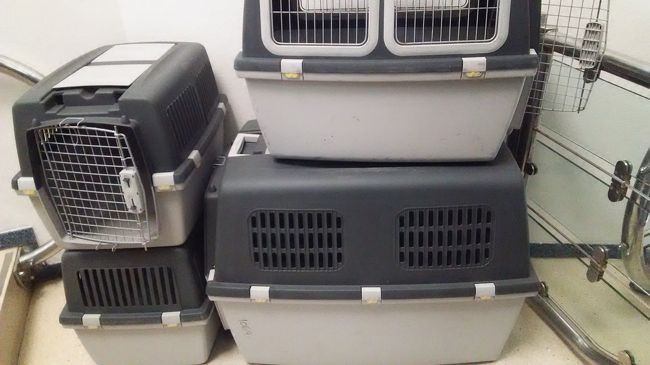 ワンさんやニャンさんを運ぶキャリーケースがケーブルカーの乗り口にあります。