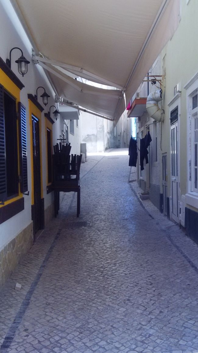 面白そうな路地があるのですが<br /><br />人様の生活圏にお邪魔できないびびりな私