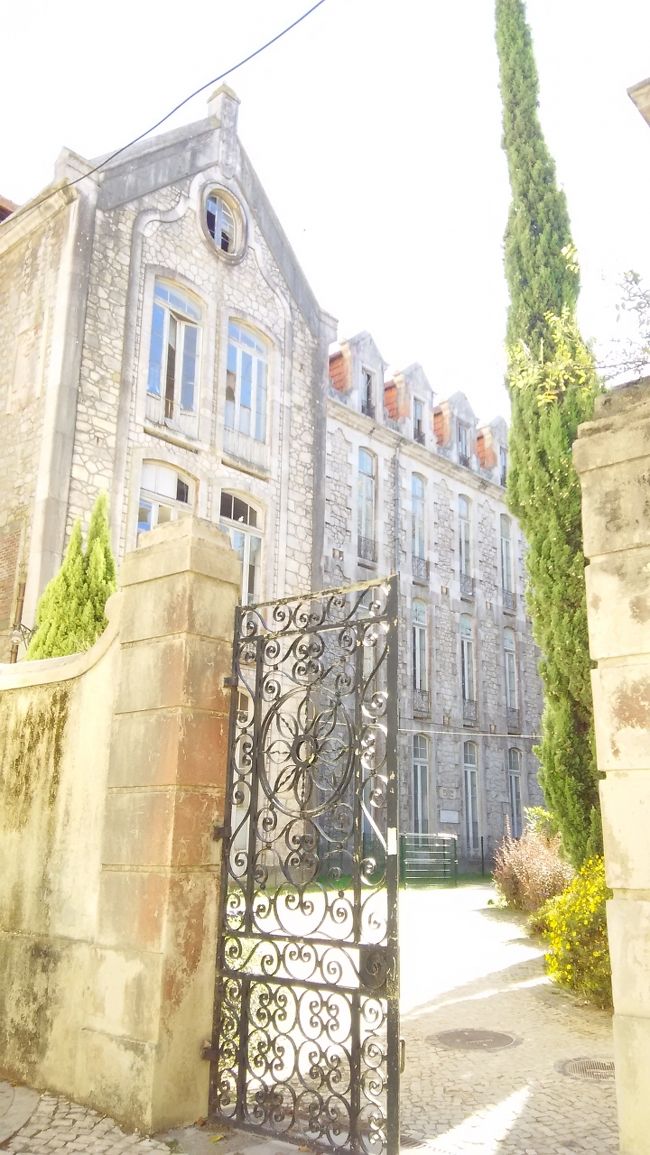 年配の女性に道を聞こうとしたら逃げられたので、若い女性に聞く、それも2回も。