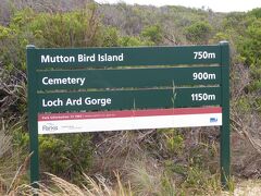 ロック・アード・ゴージ(Loch Ard Gorge)に行く手前に墓がありました。Loch Ard Gorgeとは船の名前に由来していますが、関係がありそうです。