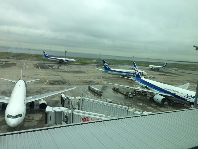 雨の羽田。<br />本州も梅雨真っ只中・・・<br />仙台から午後のうちに石垣に到着したくて羽田経由を選択。