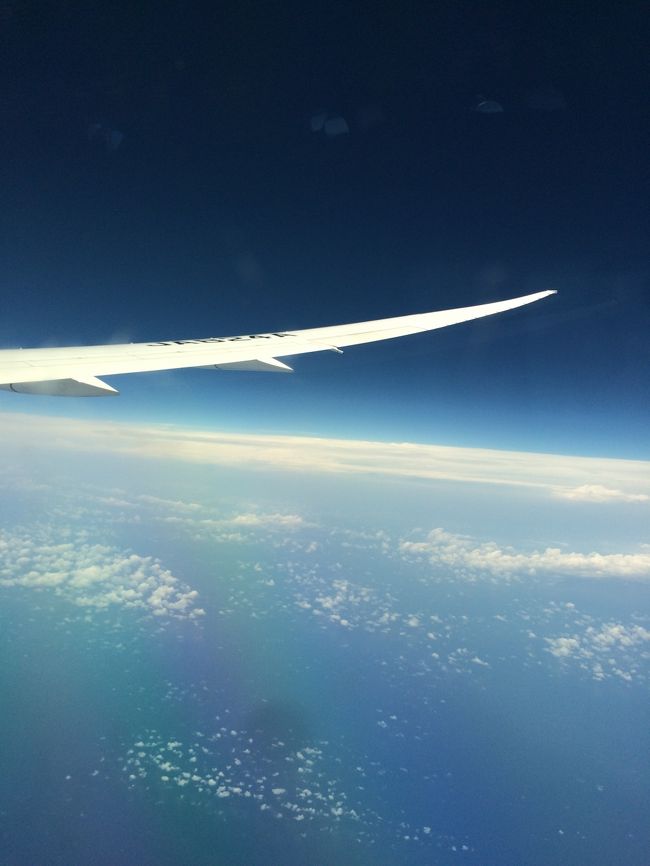 青い！ちょっとテンション↑。