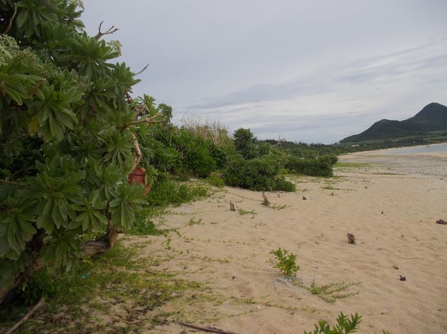 あまり人もいなくてひとりじめ！<br /><br />子馬のハナちゃんにごあいさつしてチェックアウト。