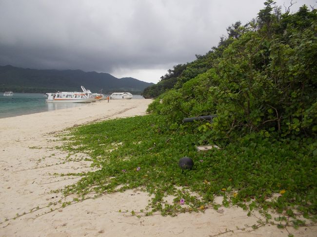 ぽつぽつきちゃった。