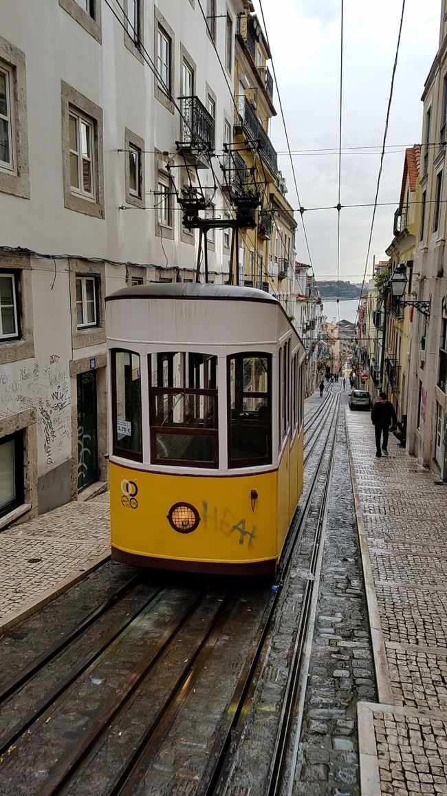 ケーブルカー、ビッカ線。<br />下の乗場が中々見つからなかった。<br />海あり、坂あり、黄色の車体ありと<br />リスボンらしい景色との情報なので<br />必死に探しました！