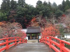 朝一番の近鉄で室生口大野で降り、タクシーで室生寺へ。
