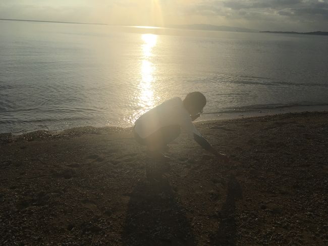 貝殻いっぱい♪