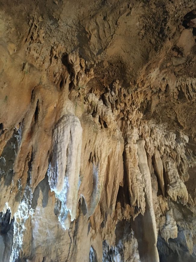2日目は朝からアクティブに行動開始♪鍾乳洞に行きます。
