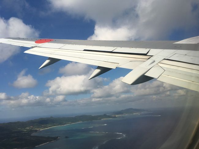 そろそろフライトの時間(>_<)帰りたくないー。帰りは石垣島～那覇経由で羽田空港。那覇では、修学旅行以来の国際通りでお土産大量買い♪<br />自宅についたのは0時過ぎでしたが、とっても充実した旅行でした♪