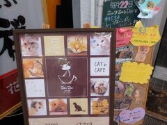 この、猫カフェ「Ron Ron」の

猫たちに会いにいくためです！（≧▽≦）