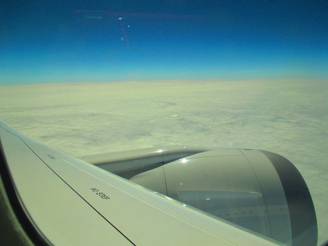 座席15A。翼の上のプレミアムエコノミー席。