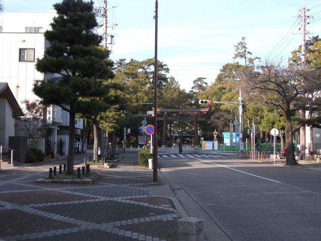 松並木の参道を行きます。ところどころ松くい虫の被害で枯れて柵だけのところがあります。