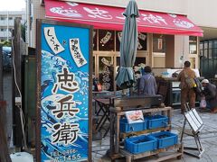 江ノ島駅から歩いて数分で、、大きい伊勢海老なんかが店先に並ぶ店舗が出てきて。