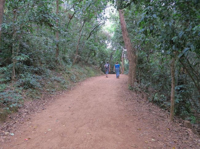 アンコール・ワットの西参道の入口からレンタサイクルでプノン・バケンの山麓に移動。<br /><br />ミネラルウォーターを1本買って、15：00前にプノン・バケンへの坂道を上り始めた。