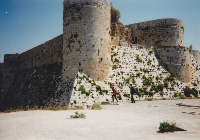 クラック・ド・シュバリエ<br /><br />なかなか上手く撮れません。