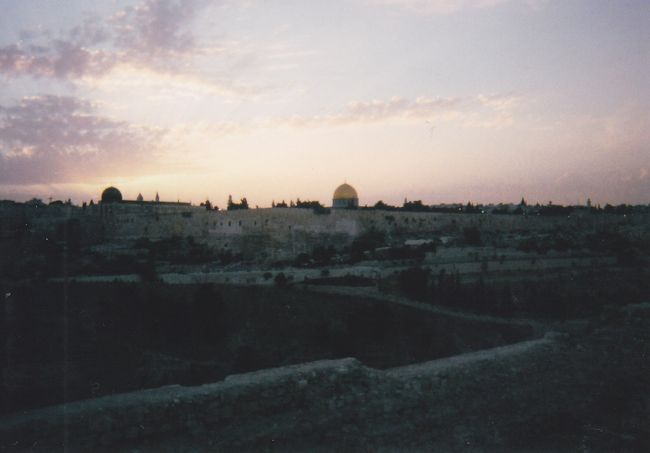 オリーブ山の中腹あたりから。