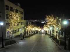 ロープウェイで下り、ライトアップをしている八幡坂へ向かいます。

雪が降っていないので道路が見えており、いまいちといったところでしょうか？
ライトアップされた、ただの坂になってしまいました。