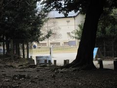 奈良国立博物館