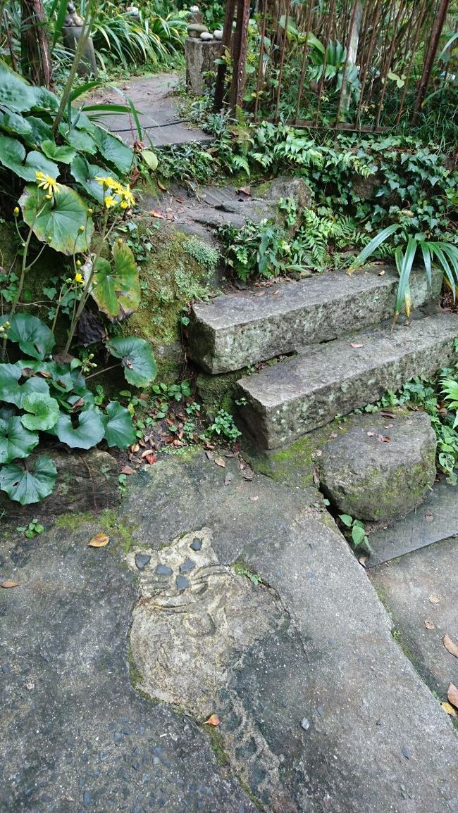 足元にも、ねこ。