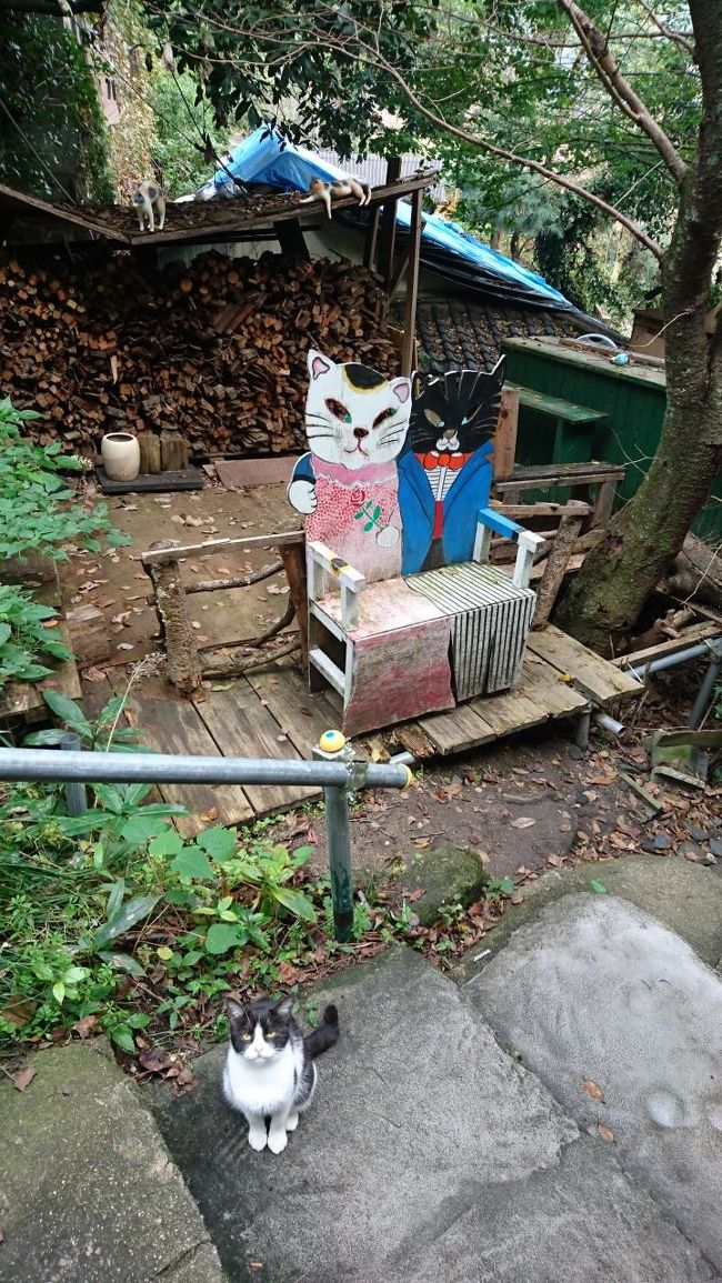 尾道には「ねこ」がいっぱい。<br /><br />ねこを観光のひとつにしているみたいで、こんなんもありました。<br /><br />さあ、本物のねこはどれでしょうか。