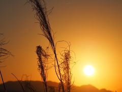 ホテルから急いで出かける先は地元のお姉さんから教えてもらった大浜海岸の夕日。

ホテルの駐車場のおじさん曰く、この時期は冬なので海岸線には沈まず山の方に太陽は沈むとのこと。

しゃーねーな・・・やっぱり夏リベンジか・・・