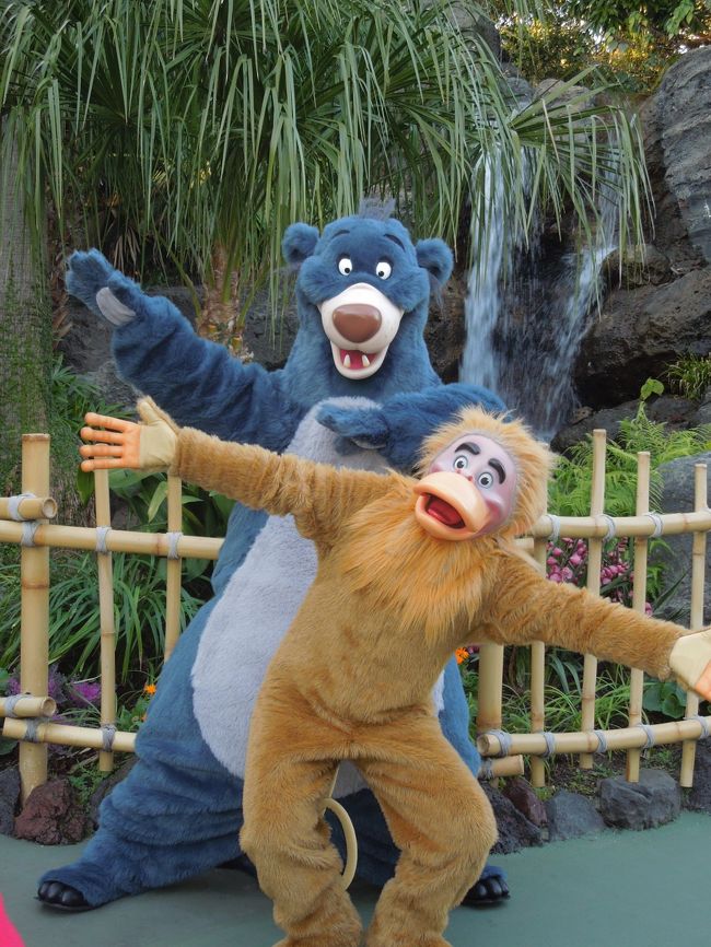17年元旦 ディズニーリゾートのお正月を堪能 大阪人 ランド夜 ミッキーてすごい 東京ディズニーリゾート 千葉県 の旅行記 ブログ By Dmnkさん フォートラベル 17年元旦 ディズニーリゾートのお正月を堪能 大阪人 ランド夜 ミッキーてすごい 東京ディズニーリゾート 千葉県 の旅行記 ブログ By Dmnkさん フォートラベル