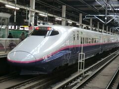 私が乗る列車です。
E2系‥やまびこ42号。

て、言うか、又、ホームを間違えて反対側に来てしまった。

②東北新幹線42B･やまびこ42号.東京行
盛岡.10:07→上野.13:18
※えきねっとトクだ値15‥11910円。