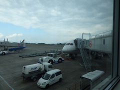無事に鹿児島空港に到着。