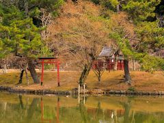 鏡池に映る厳島神社もパチリ