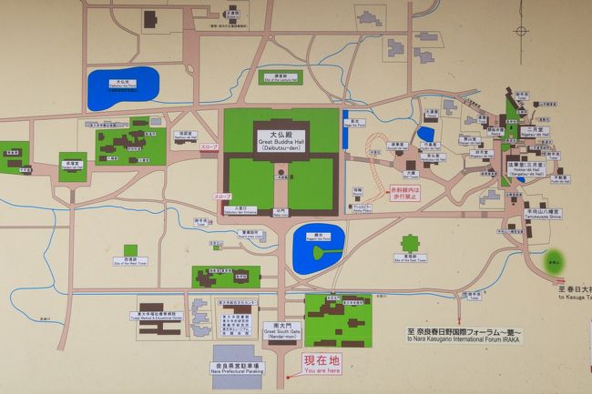 国営公園散策日記 P S 高校時代の私へ 奈良県の良さがやっとわかりました 笑 興福寺 東大寺 奈良公園 春日大社 なら仏像館 平城宮跡 奈良市 奈良県 の旅行記 ブログ By ひろさん フォートラベル