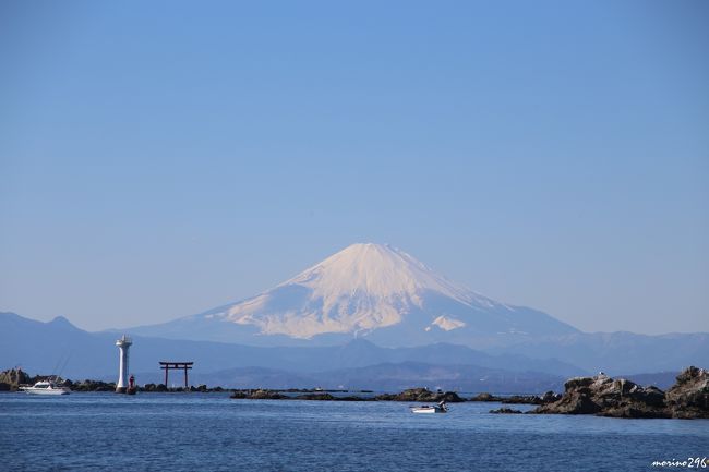 富士山を眺めながら葉山から逗子まで海岸散歩』逗子・葉山