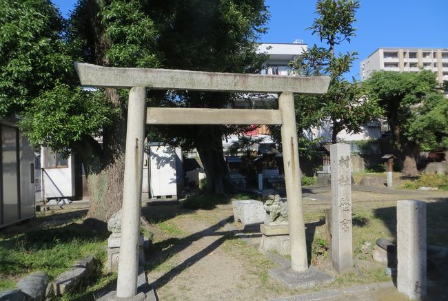 旧村社の笹社の石の鳥居の光景です。神明鳥居(しんめいとりい)の形式に近いようでした。神馬い鳥居は、2本の円柱の上に円柱状の笠木を載せ、下に貫(ぬき)を入れた直線的な鳥居です。神明造りの神社に多く用いられますので、かつての笹神社は神明造りだったかも知れません。
