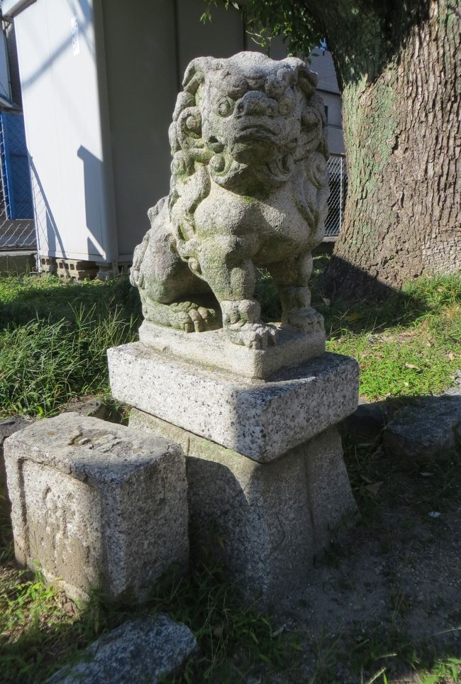 参道の左手にあった、雲御油の狛犬の光景です。文字は初目ませんでしたが、こちらにも脇に低い石標がありました。台座と同じ花崗岩ですから、同じ時期のもののようです。