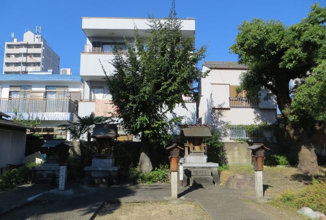 第二次大戦時の戦災に遭ったのでしょうか、小さな社だけが残る笹社の境内光景です。鎮守の杜の名残の木々が残っていました。